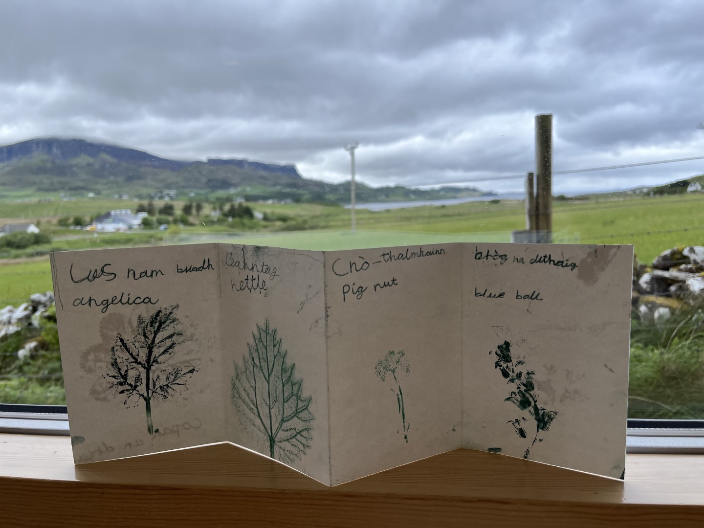'Growing climate resilience and regeneration through intergenerational and transnational traditional ecological knowledge and skills exchange'.